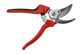 Pruning Shears